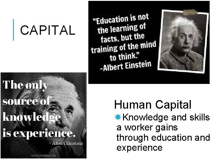CAPITAL Human Capital Knowledge and skills a worker gains through education and experience 