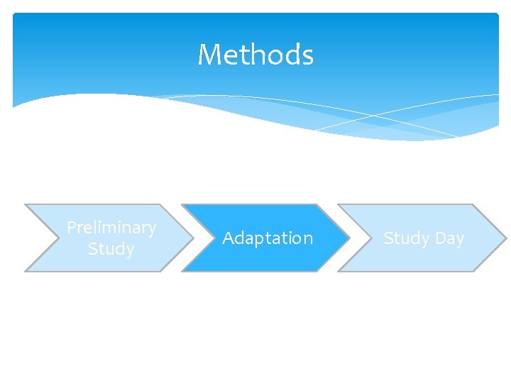 Methods Preliminary Study Adaptation Study Day 