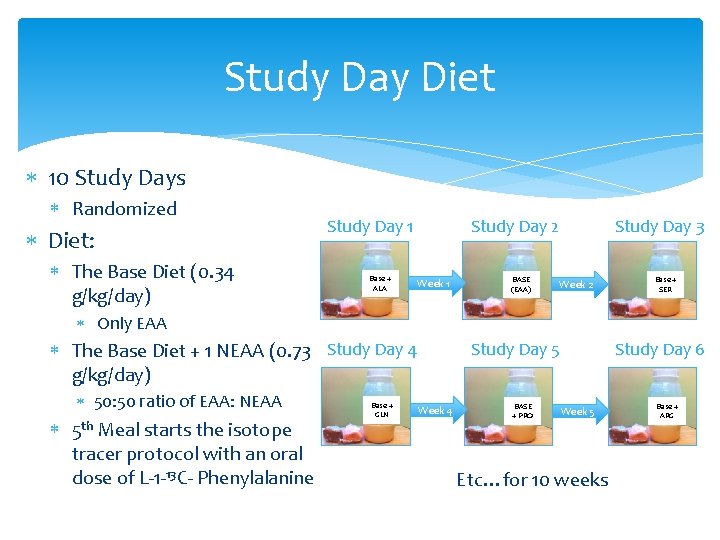 Study Day Diet 10 Study Days Randomized Diet: The Base Diet (0. 34 g/kg/day)