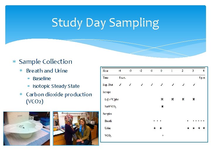 Study Day Sampling Sample Collection Breath and Urine Baseline Isotopic Steady State Carbon dioxide