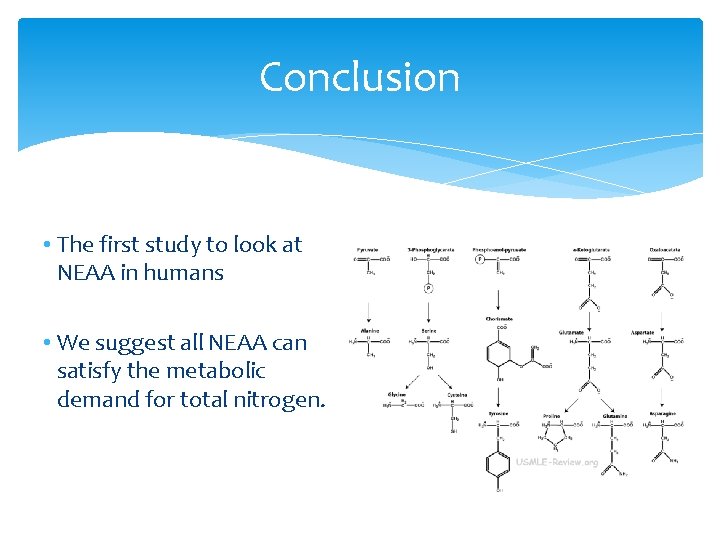 Conclusion • The first study to look at NEAA in humans • We suggest