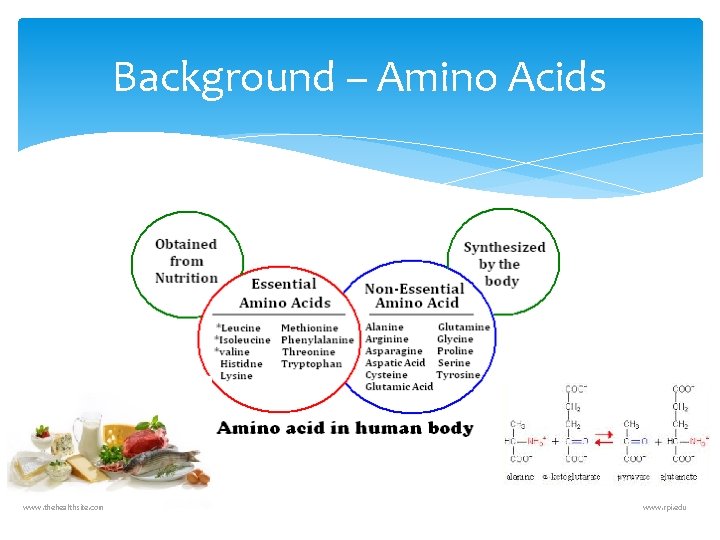 Background – Amino Acids www. thehealthsite. com www. rpi. edu 