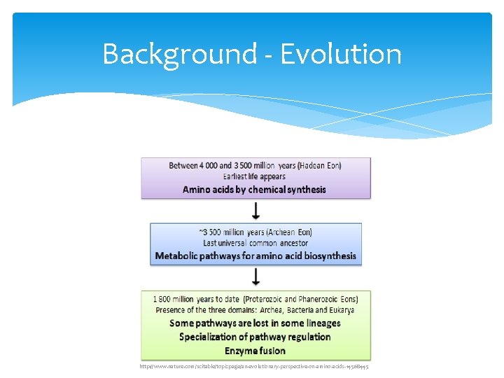 Background - Evolution http: //www. nature. com/scitable/topicpage/an-evolutionary-perspective-on-amino-acids-14568445 