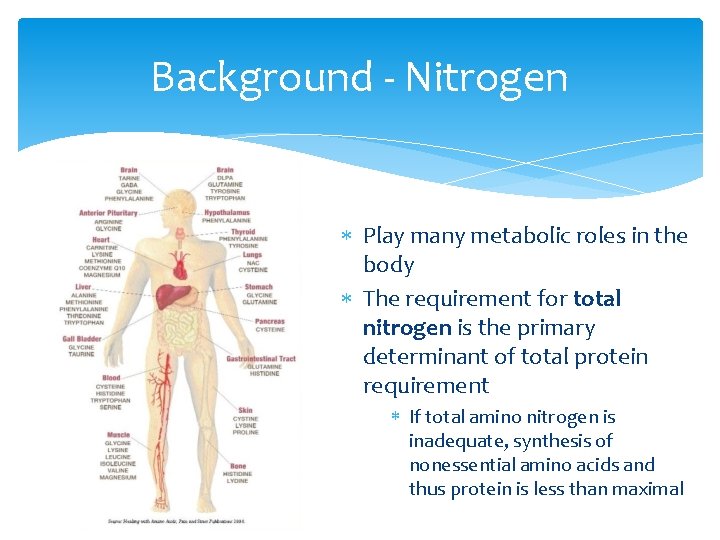 Background - Nitrogen Play many metabolic roles in the body The requirement for total