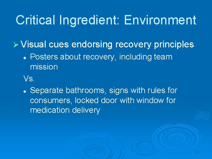 Critical Ingredient: Environment Ø Visual cues endorsing recovery principles Posters about recovery, including team