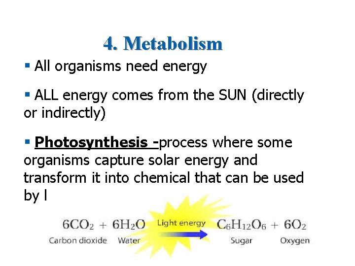 4. Metabolism § All organisms need energy § ALL energy comes from the SUN