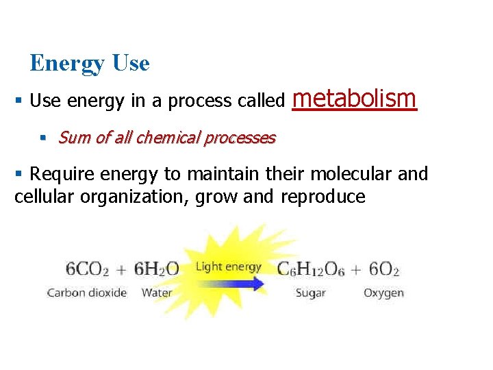 Energy Use § Use energy in a process called metabolism § Sum of all