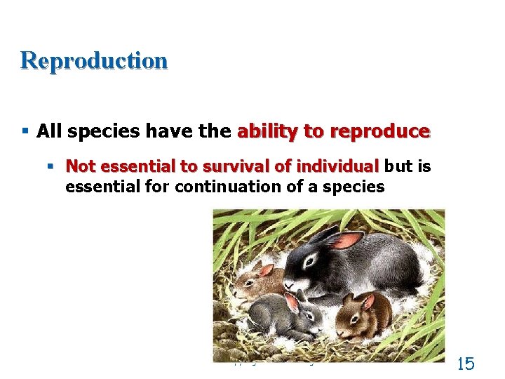 Reproduction § All species have the ability to reproduce § Not essential to survival