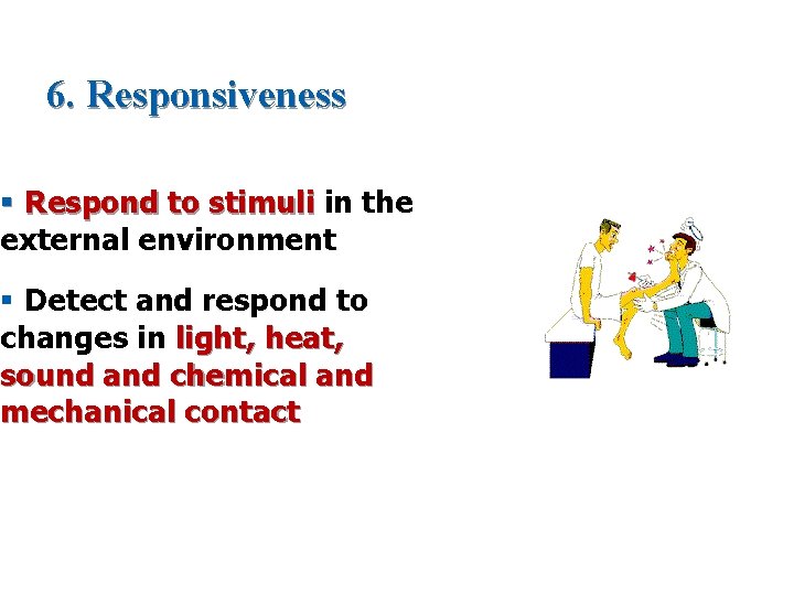 6. Responsiveness § Respond to stimuli in the external environment § Detect and respond