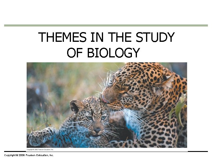 THEMES IN THE STUDY OF BIOLOGY Copyright © 2009 Pearson Education, Inc. 