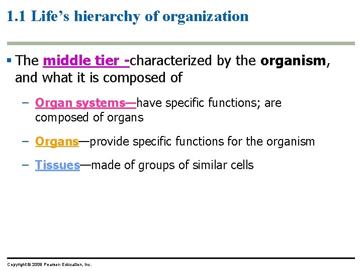 1. 1 Life’s hierarchy of organization § The middle tier -characterized by the organism,