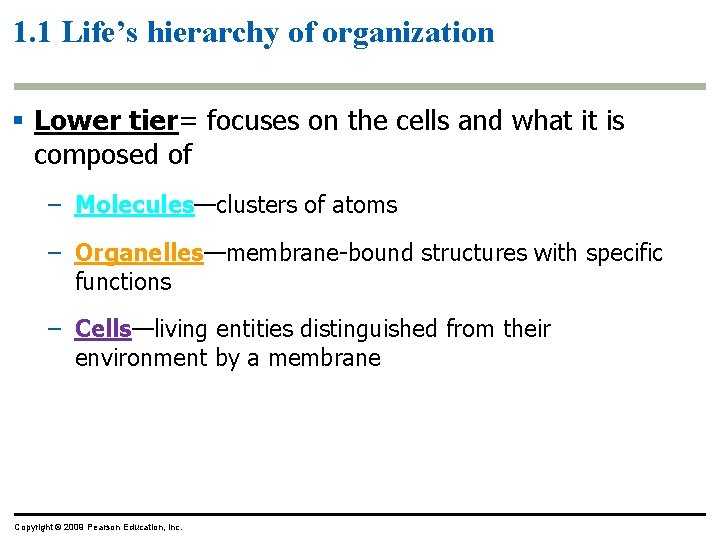 1. 1 Life’s hierarchy of organization § Lower tier= focuses on the cells and