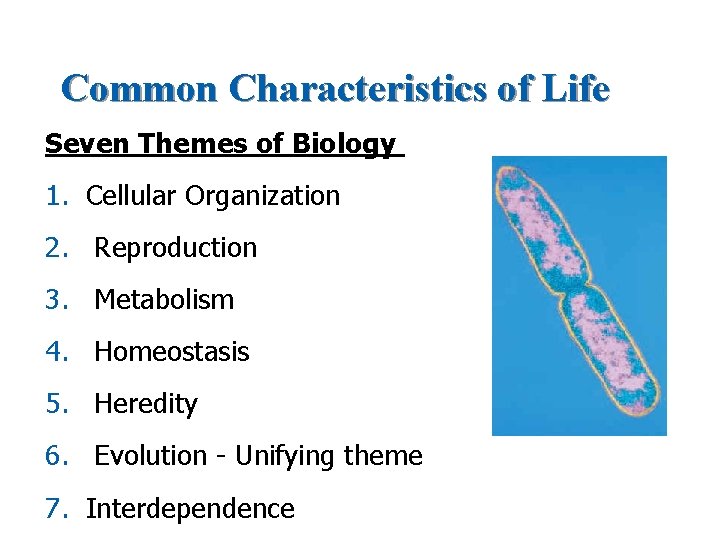 Common Characteristics of Life Seven Themes of Biology 1. Cellular Organization 2. Reproduction 3.