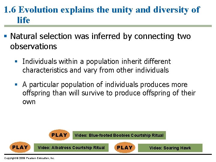 1. 6 Evolution explains the unity and diversity of life § Natural selection was