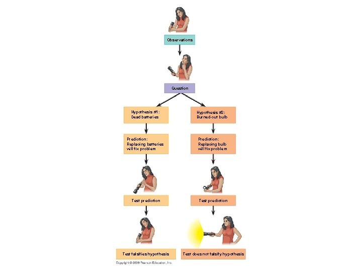 Observations Question Hypothesis #1: Dead batteries Hypothesis #2: Burned-out bulb Prediction: Replacing batteries will
