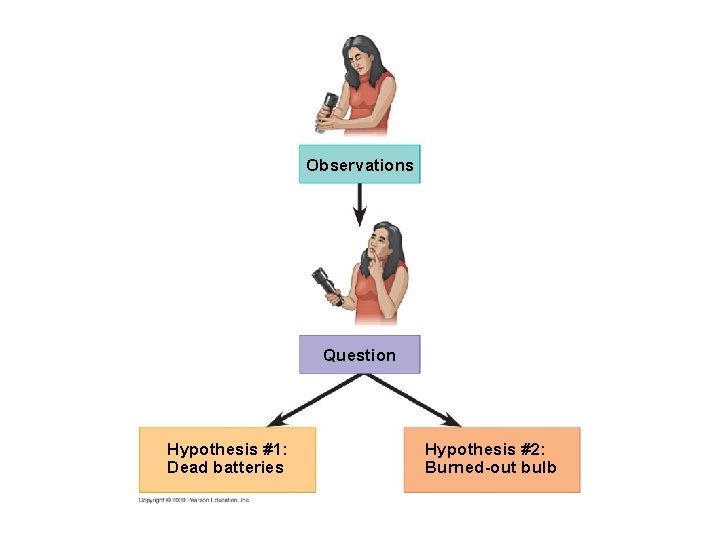 Observations Question Hypothesis #1: Dead batteries Hypothesis #2: Burned-out bulb 