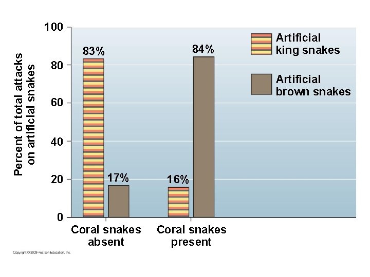 Percent of total attacks on artificial snakes 100 84% 83% Artificial king snakes 80