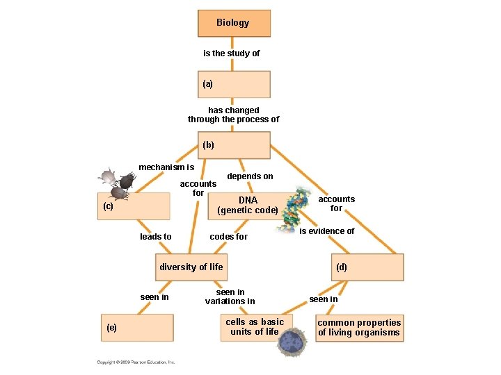 Biology is the study of (a) has changed through the process of (b) mechanism