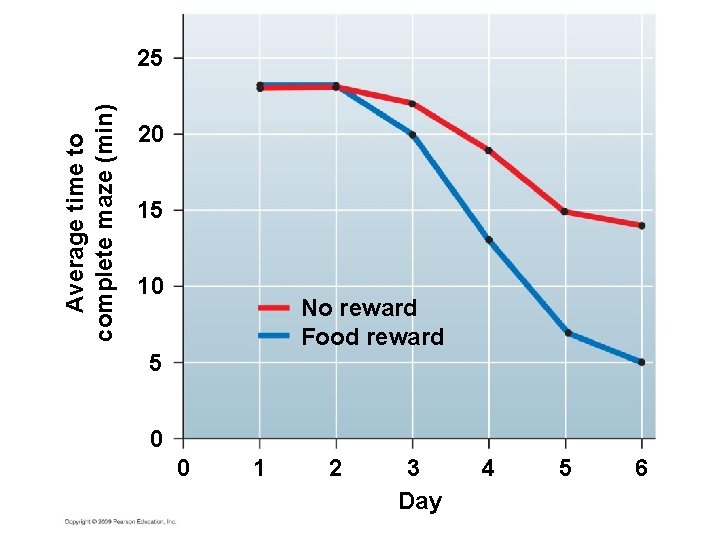 Average time to complete maze (min) 25 20 15 10 No reward Food reward