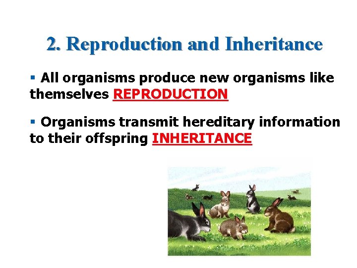 2. Reproduction and Inheritance § All organisms produce new organisms like themselves REPRODUCTION §