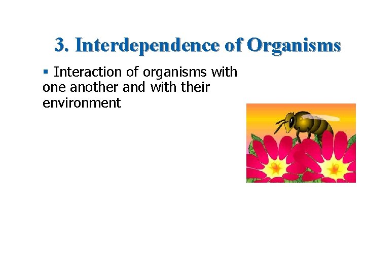 3. Interdependence of Organisms § Interaction of organisms with one another and with their
