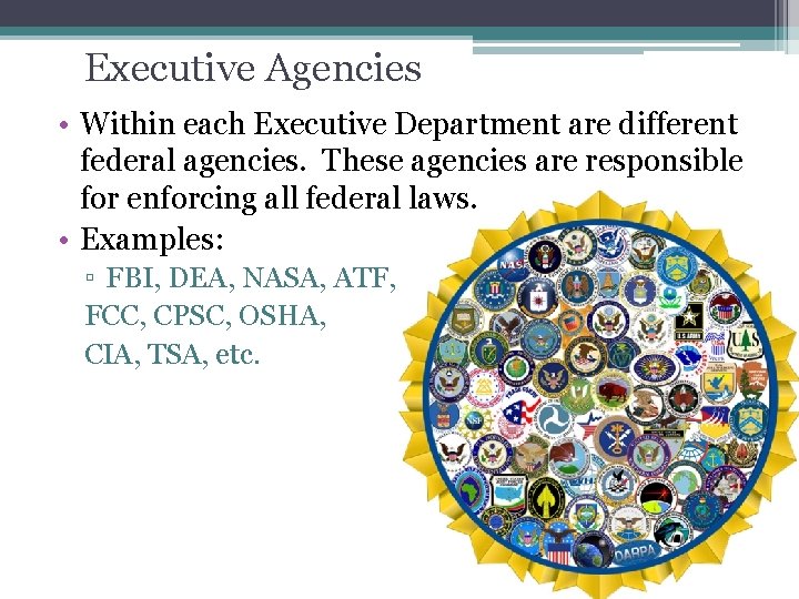 Executive Agencies • Within each Executive Department are different federal agencies. These agencies are