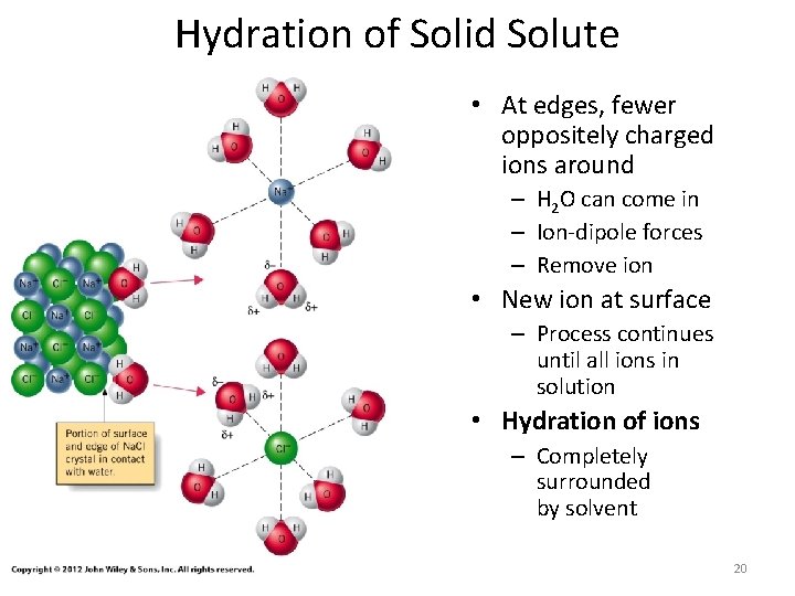 Hydration of Solid Solute • At edges, fewer oppositely charged ions around – H
