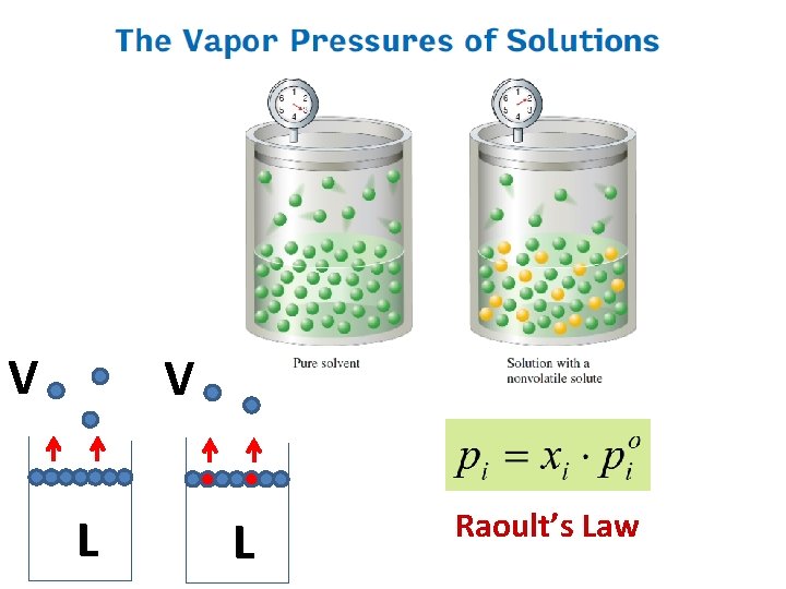 V V L L Raoult’s Law 