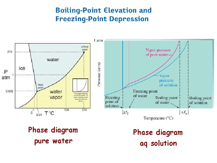 Phase diagram pure water Phase diagram aq solution 