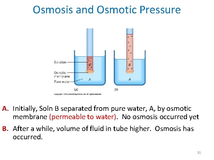 Osmosis and Osmotic Pressure A. Initially, Soln B separated from pure water, A, by