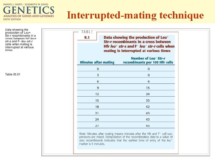 Interrupted-mating technique 