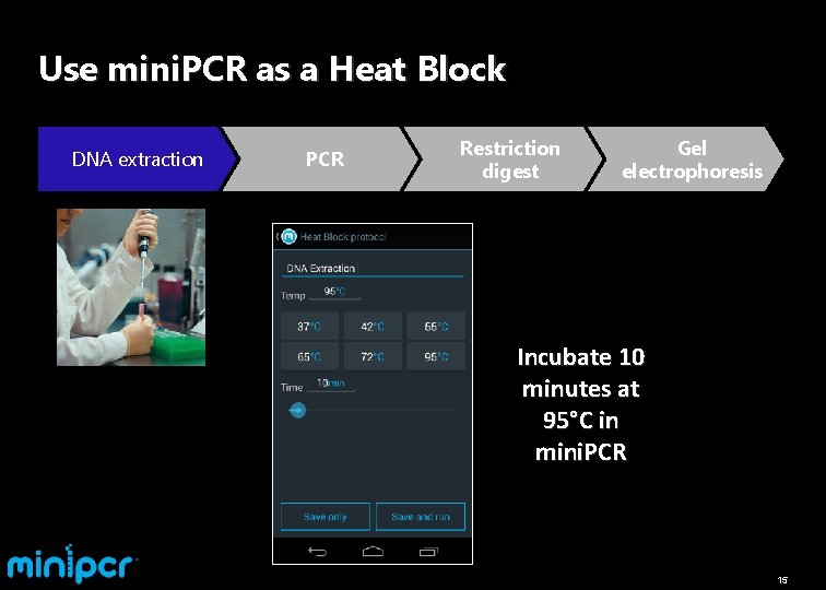 Use mini. PCR as a Heat Block DNA extraction PCR Restriction digest Gel electrophoresis