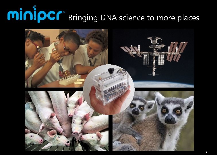 Bringing DNA science to more places 1 
