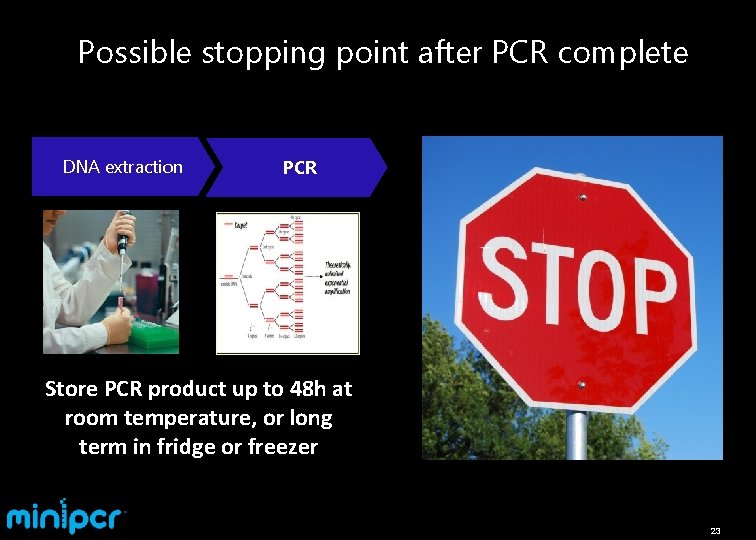 Possible stopping point after PCR complete DNA extraction PCR Store PCR product up to
