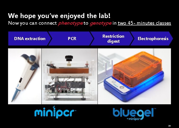 We hope you’ve enjoyed the lab! Now you can connect phenotype to genotype in