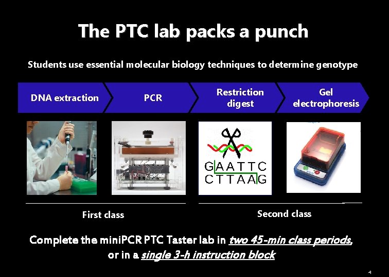 The PTC lab packs a punch Students use essential molecular biology techniques to determine