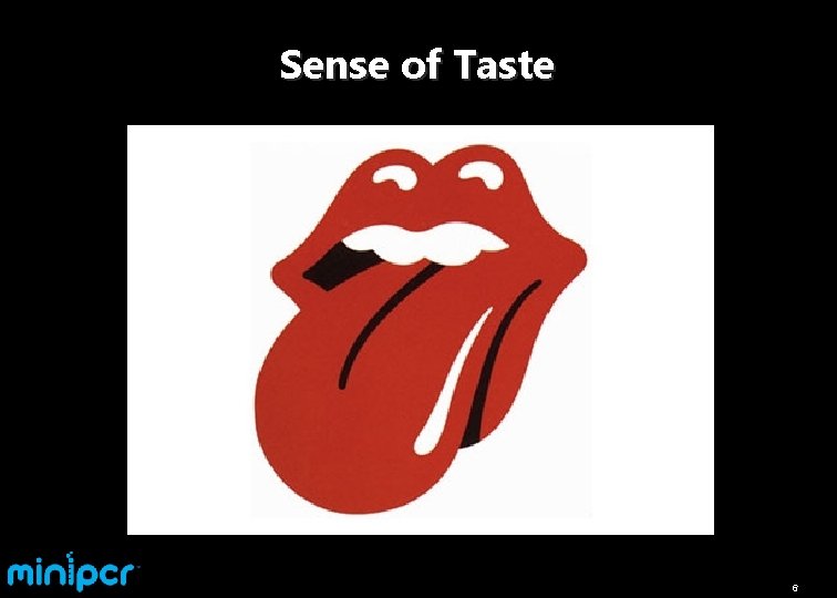 Sense of Taste 6 