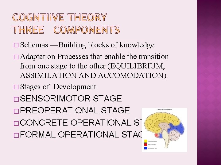 � Schemas —Building blocks of knowledge � Adaptation Processes that enable the transition from