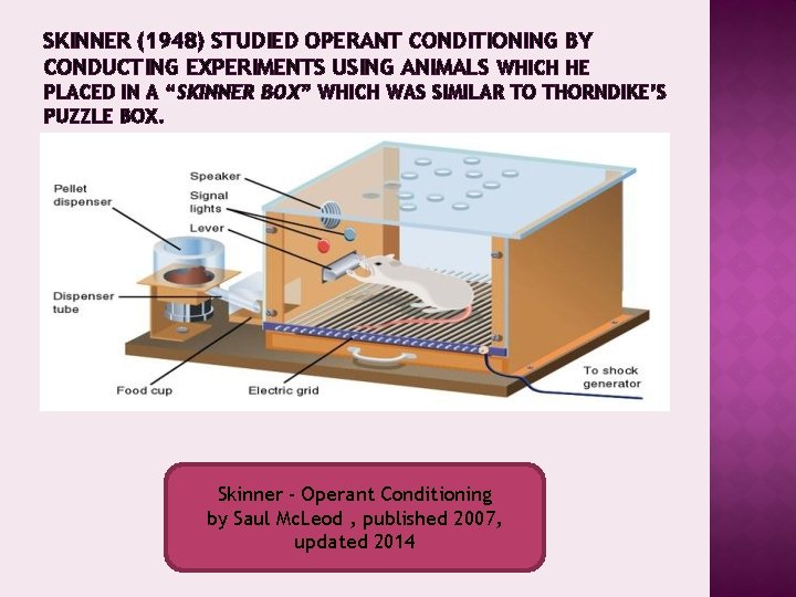 SKINNER (1948) STUDIED OPERANT CONDITIONING BY CONDUCTING EXPERIMENTS USING ANIMALS WHICH HE PLACED IN