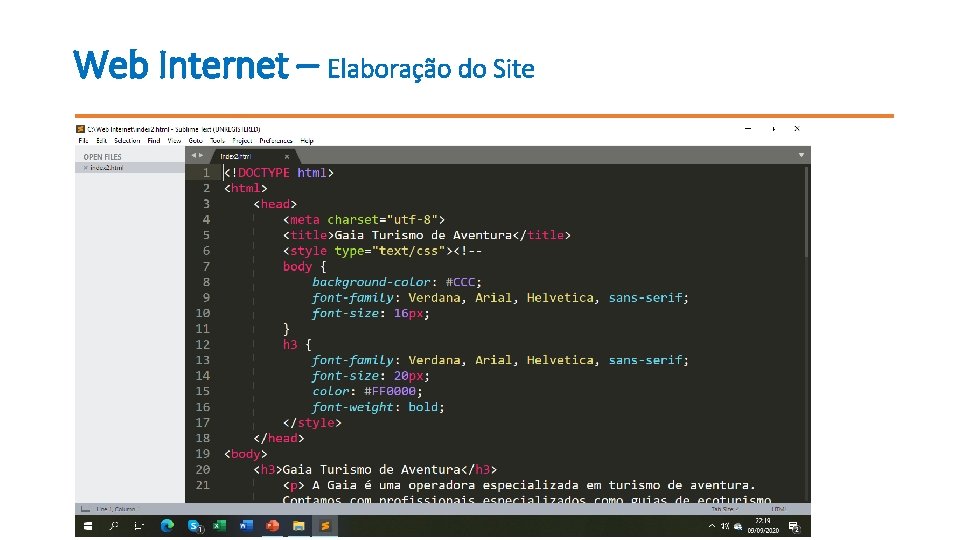 Web Internet – Elaboração do Site 