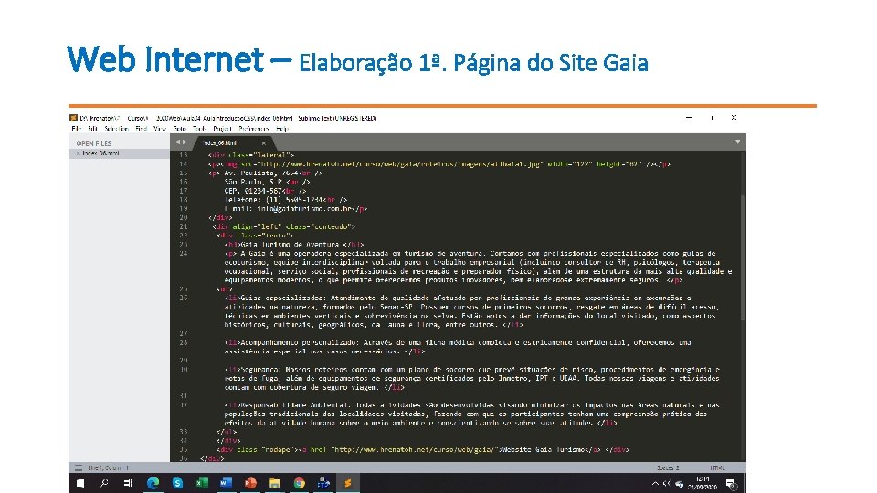 Web Internet – Elaboração 1ª. Página do Site Gaia 