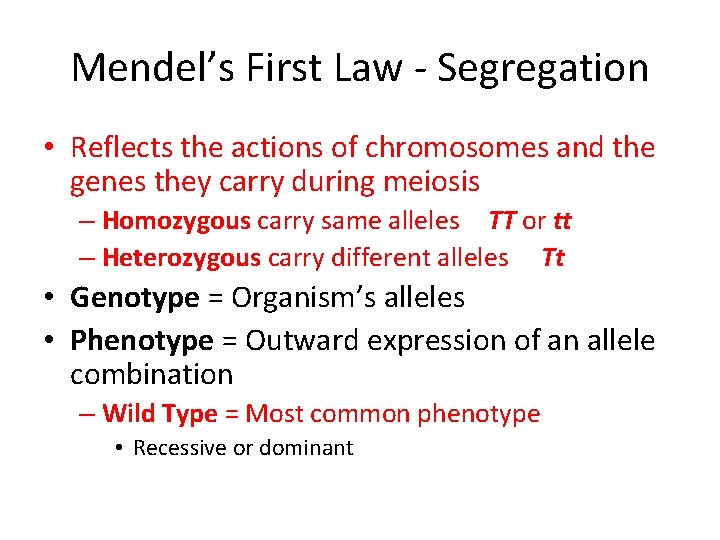 Mendel’s First Law - Segregation • Reflects the actions of chromosomes and the genes