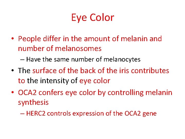 Eye Color • People differ in the amount of melanin and number of melanosomes