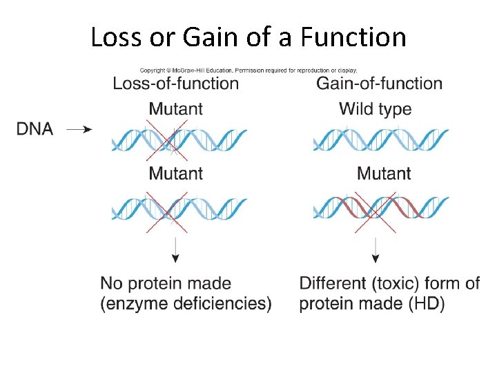 Loss or Gain of a Function 