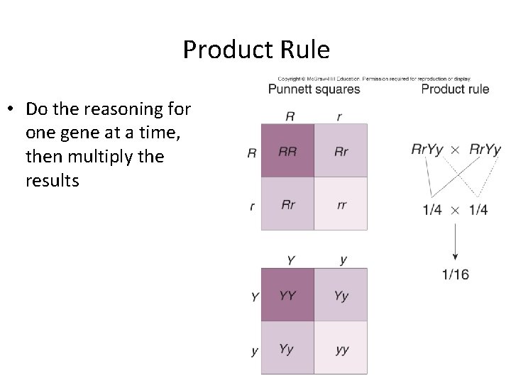 Product Rule • Do the reasoning for one gene at a time, then multiply