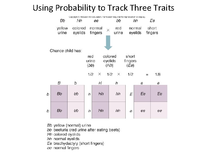 Using Probability to Track Three Traits 