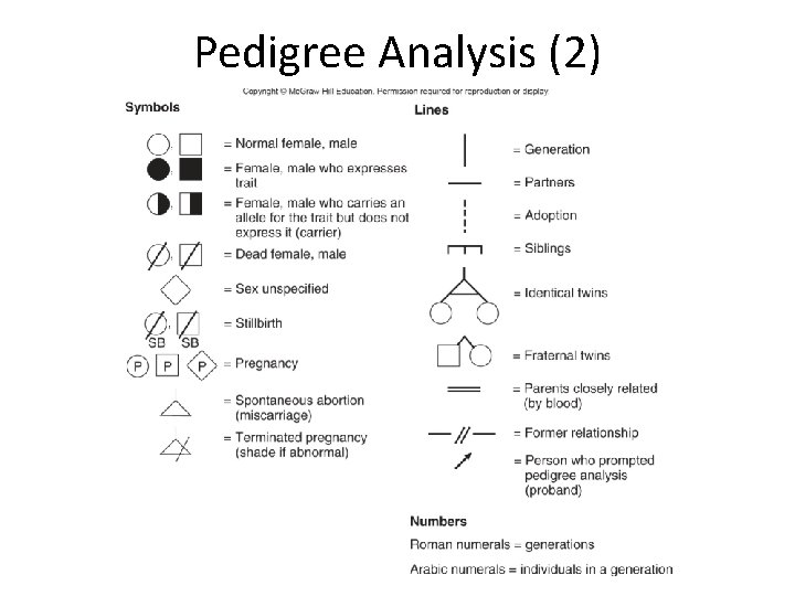 Pedigree Analysis (2) 