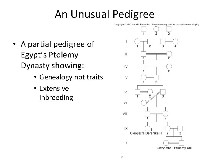 An Unusual Pedigree • A partial pedigree of Egypt’s Ptolemy Dynasty showing: • Genealogy