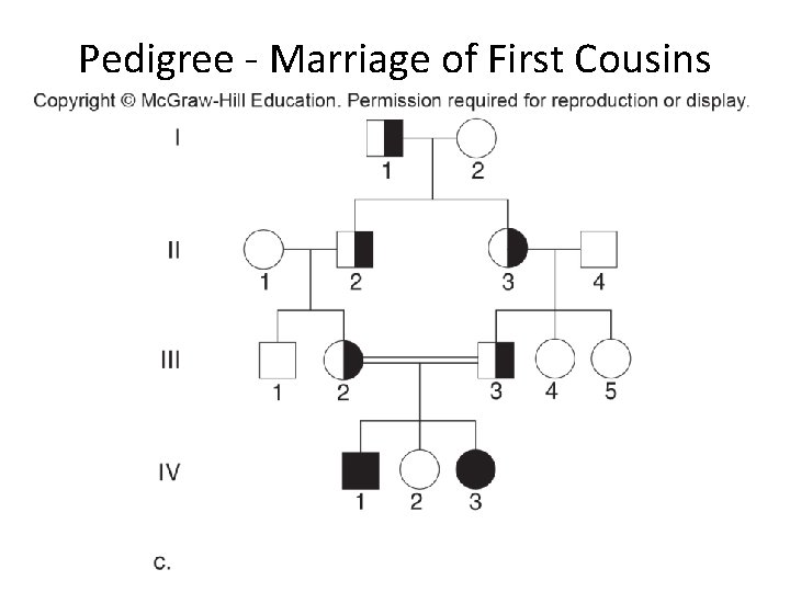 Pedigree - Marriage of First Cousins 