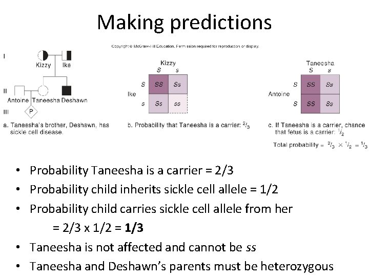 Making predictions • Probability Taneesha is a carrier = 2/3 • Probability child inherits
